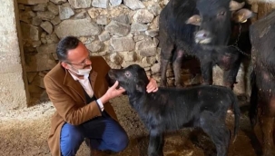 ÜRETİCİSİNİN YÜZÜ GÜLDÜ!